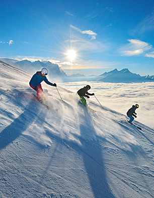 e-guma Best Practice Bergbahnen Meiringen Hasliberg